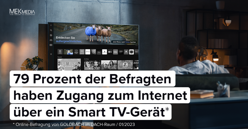 CTV Befragung Zugang zum Internet